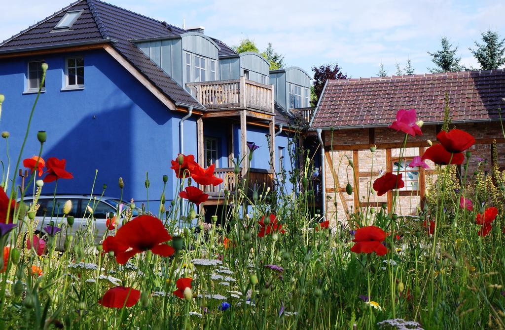 Blugarden Ferienapartments Im Spreewald Lübben Rom bilde