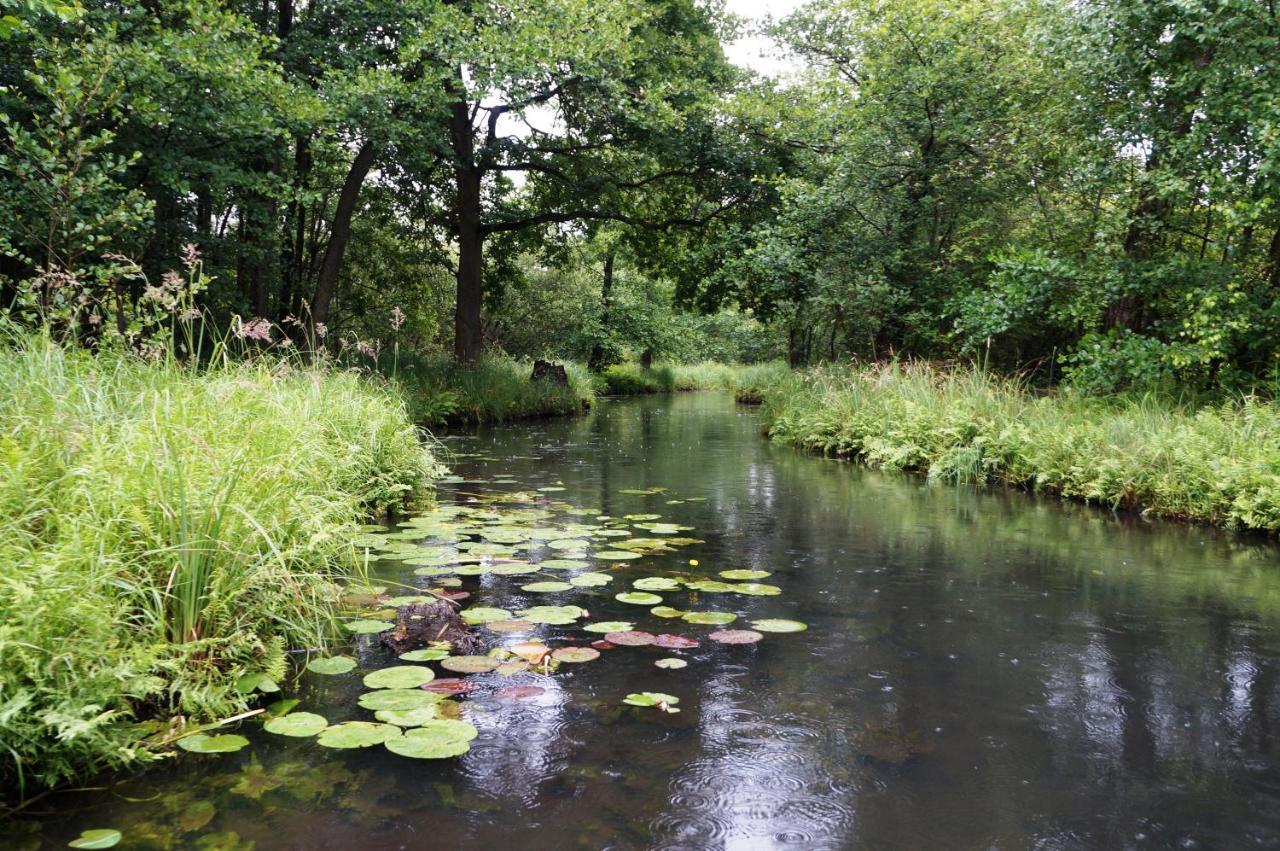 Blugarden Ferienapartments Im Spreewald Lübben Eksteriør bilde
